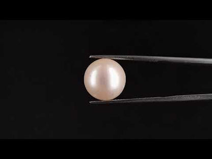 South Sea Pearl - 12.73 Carats (Moti - 13.88 Ratti)