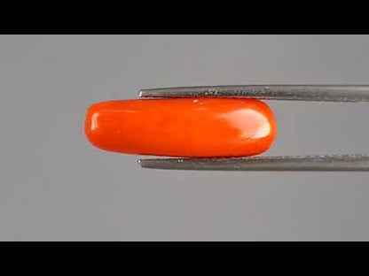 Red Coral (Moonga) - 4.29 Carats
