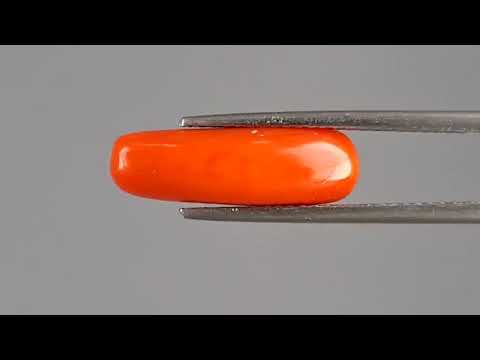 Red Coral (Moonga) - 4.29 Carats