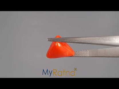 Red Coral (Moonga) - 8.41 Carats