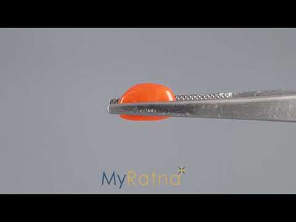 Red Coral (Moonga) - 3.59 Carats