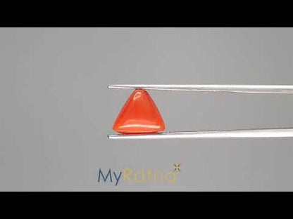 Red Coral (Moonga) - 3.25 Carats