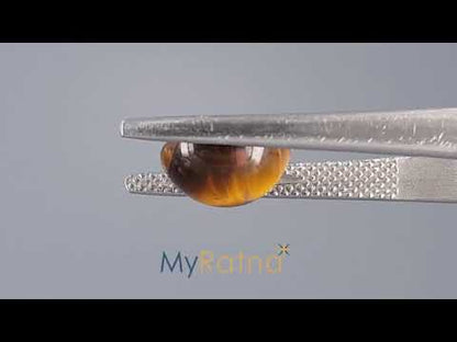 Tiger Eye - 2.72 Carats