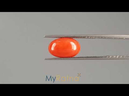 Red Coral (Moonga) - 5.12 Carats