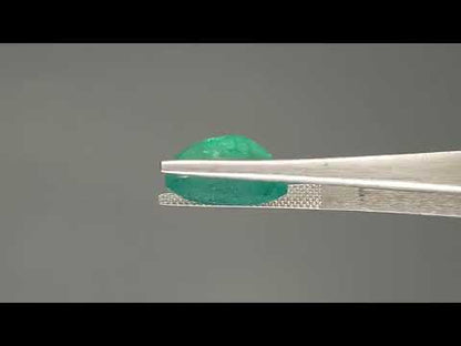 Emerald (Panna) - 9.08 Carats