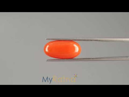 Red Coral (Moonga) - 5.93 Carats