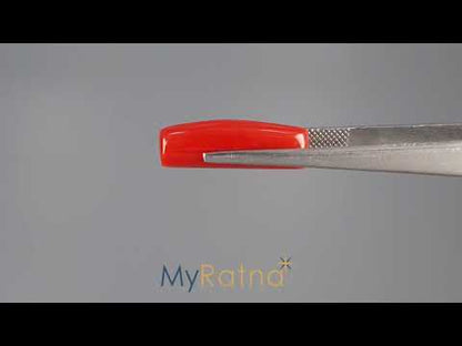 Red Coral (Moonga) - 8.86 Carats