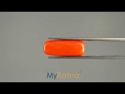Red Coral (Moonga) - 6.21 Carats