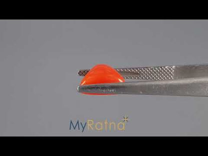 Red Coral (Moonga) - 3.17 Carats