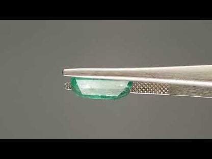 Emerald (Panna) - 3.79 Carats