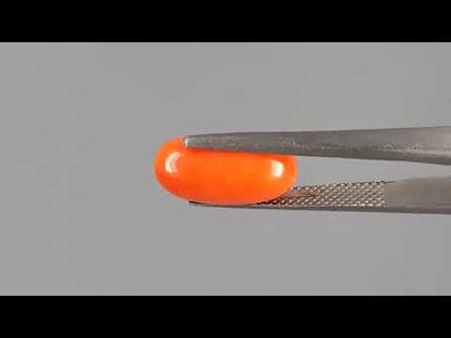 Red Coral (Moonga) - 4.71 Carats