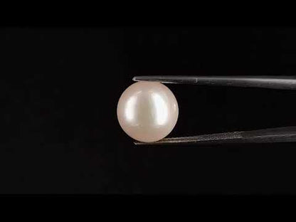 South Sea Pearl - 10.49 Carats (Moti - 11.43 Ratti)