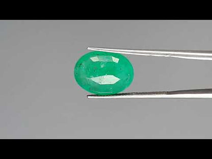 Emerald (Panna) - 6.83 Carats