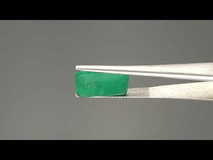 Emerald (Panna) - 7.34 Carats