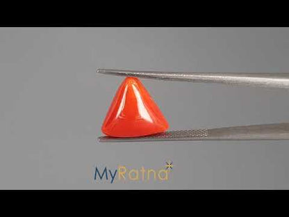Red Coral (Moonga) - 6.14 Carats