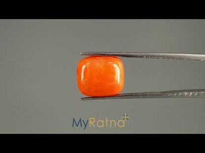 Red Coral (Moonga) - 6.98 Carats