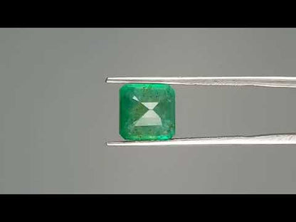 Emerald (Panna) - 3.39 Carats