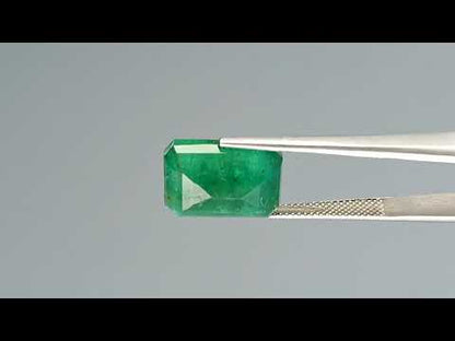 Emerald (Panna) - 9.54 Carats