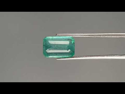 Emerald (Panna) - 3.19 Carats
