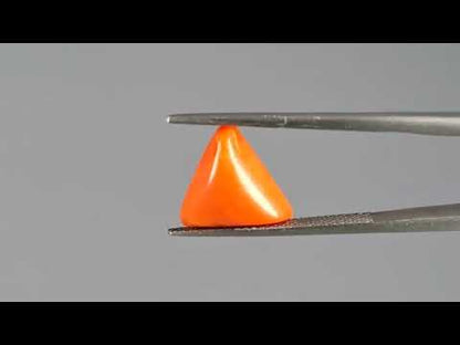 Red Coral - 3.11 Carats (Moonga - 3.39 Ratti)