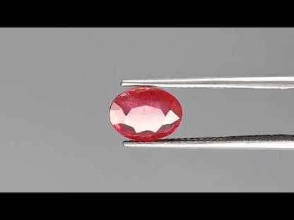 Ruby - 2.50 Carats (Manik - 2.73 Ratti)