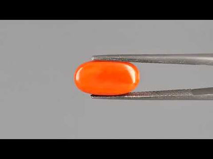 Red Coral - 4.56 Carats (Moonga - 4.97 Ratti)