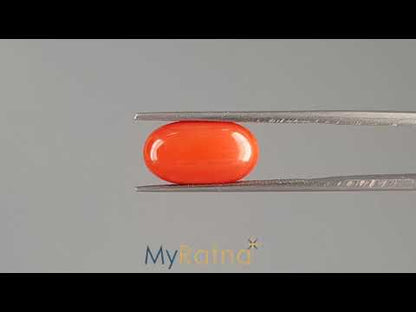 Red Coral (Moonga) - 5.79 Carats