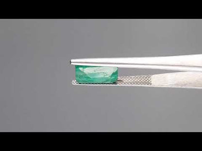 Emerald (Panna) - 2.90 Carats