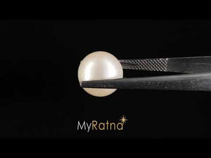 South Sea Pearl - 8.52 Carats (Moti - 9.29 Ratti)