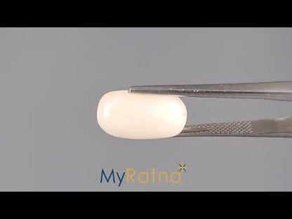 White Coral - 7.75 Carats