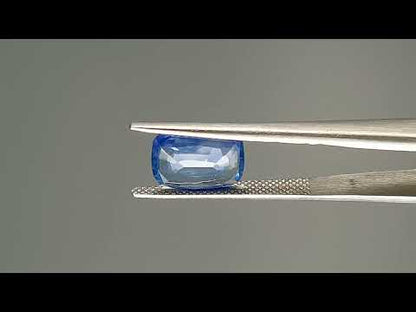 Blue Sapphire (Neelam) - 3.12 Carats