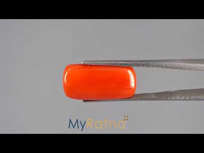 Red Coral (Moonga) - 17.53 Carats