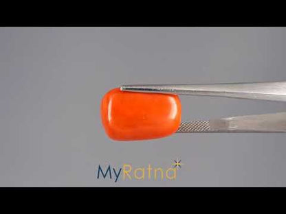 Red Coral - 22.59 Carats (Moonga - 24.62 Ratti)