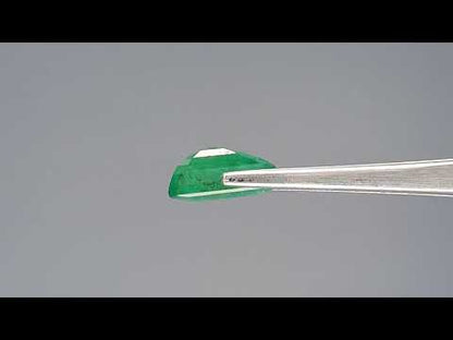 Emerald (Panna) - 8.58 Carats