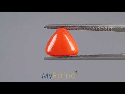 Red Coral (Moonga) - 3.10 Carats
