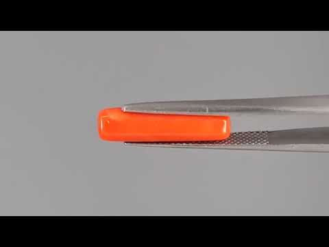 Red Coral (Moonga) - 3.94 Carats