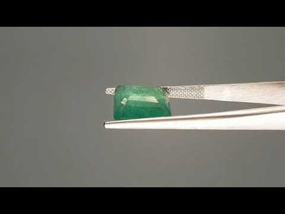 Emerald (Panna) - 6.60 Carats