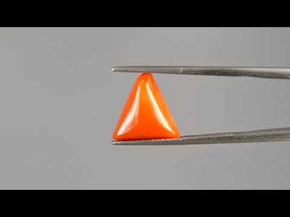 Red Coral (Moonga) - 3.71 Carats
