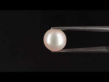 South Sea Pearl - 4.40 Carats (Moti - 4.80 Ratti)