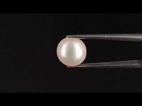 South Sea Pearl - 4.40 Carats (Moti - 4.80 Ratti)