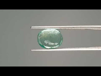 Emerald (Panna) - 2.63 Carats