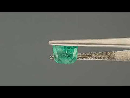Emerald (Panna) - 2.44 Carats