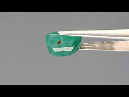 Emerald (Panna) - 8.69 Carats