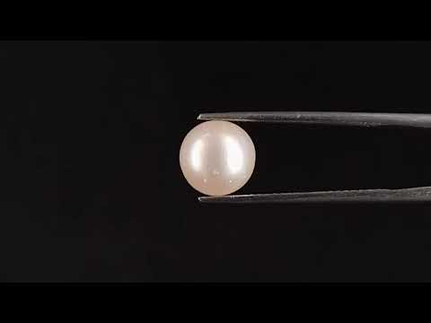 South Sea Pearl - 4.14 Carats (Moti - 4.51 Ratti)