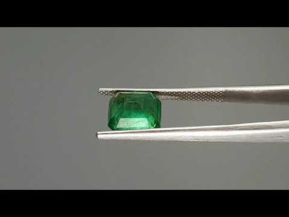 Emerald (Panna) - 2.51 Carats