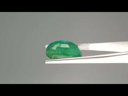 Emerald (Panna) - 11.09 Carats
