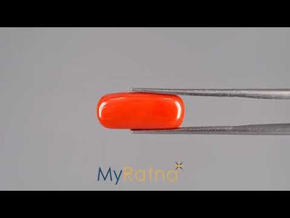 Red Coral - 8.50 Carats (Moonga - 9.27 Ratti)