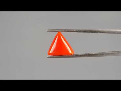 Red Coral (Moonga) - 3.30 Carats