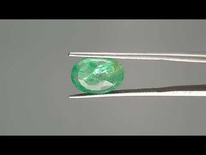 Emerald (Panna) - 3.30 Carats
