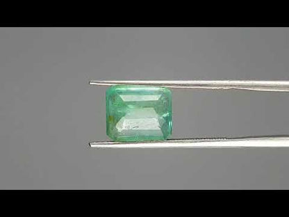 Emerald (Panna) - 3.06 Carats